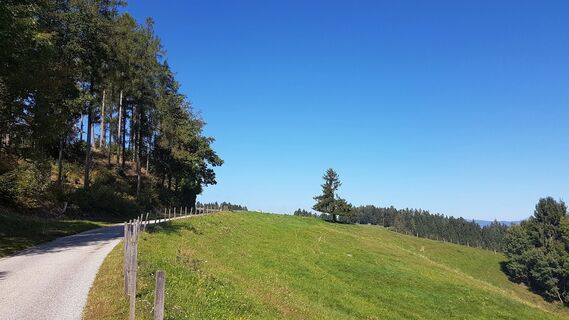 Burgstall
