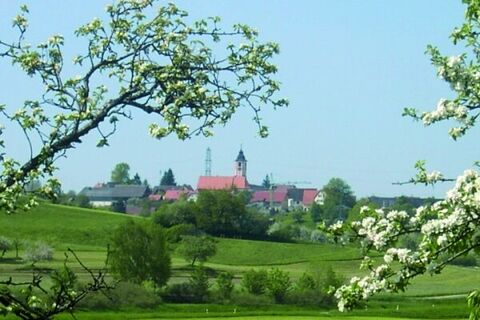 Frühlingstage in Maiwangen