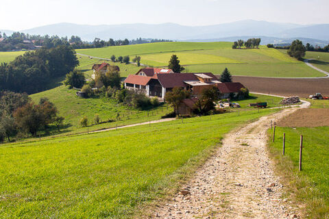 Landschaft bei Pichl