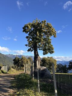 Fotografie de la Cyrill Bischof de-a lungul turului