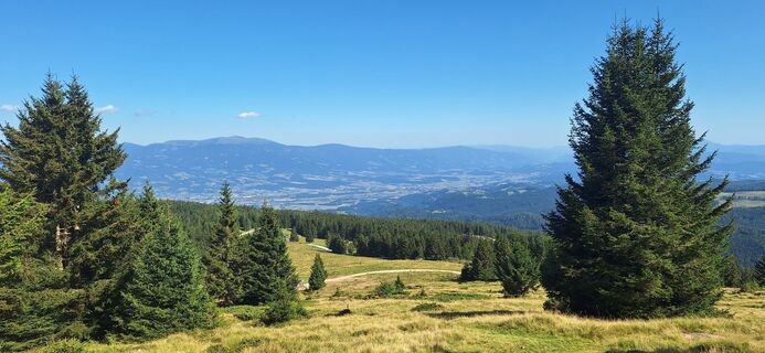 Photo de Steinberger Klaus le long du parcours