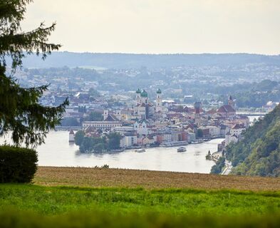 Freinberg Passaublick