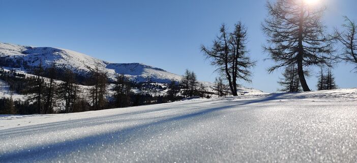 Foto von Hein Sleddens entlang der Tour