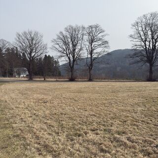 Fotografija s spletne strani Steffen Kiesel na poti