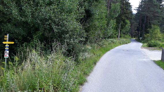 schöner Weg von Nassereith