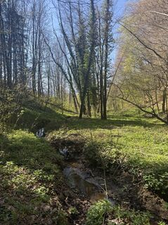 Photo de Dominik Dorner le long du parcours