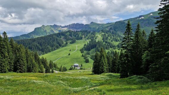 Fotografie z Gerrit van der Linde na trase