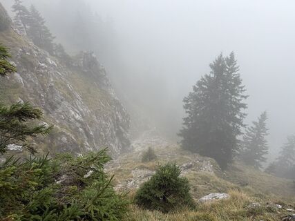 Foto fra Dani Geiger / Natur_erleben_dg underveis på turen