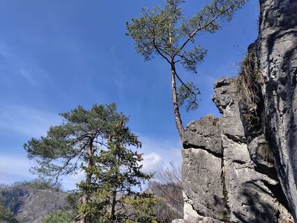 Foto von Lena Eder entlang der Tour