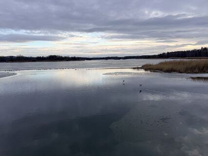 Foto de Cindy 19871 a lo largo del recorrido