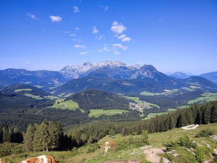 Ausblick unterhalb der Stuhlalm zum Tennengebirge