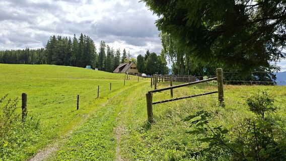 Fotografia z Horst Ditjo na trase