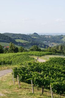 Weinlandhof-21-Sommer_Radfahren-033.jpg