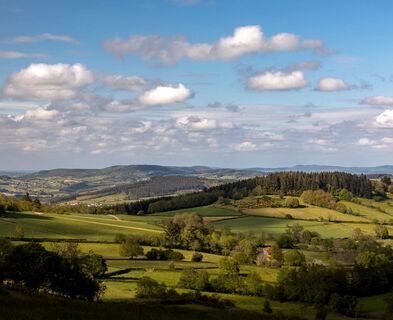 paysage-etienne-ramousse-images-verts-vallons-sud-bourgogne-035
