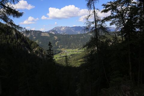 Blick auf Hinterwildalpen 