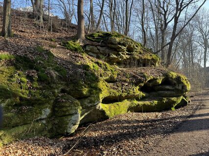 Photo de Norbert Herbig le long du parcours