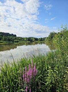 Fotografie de la Angelika Gerung de-a lungul turului