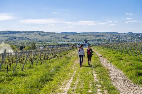 Unterwegs auf der Traumschleife Dolinenweg