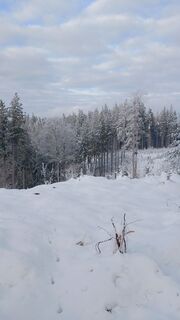 Fotografia z Pur Alexander na trase