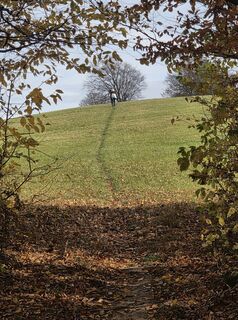 Zdjęcie z Harald Kriebel wzdłuż trasy