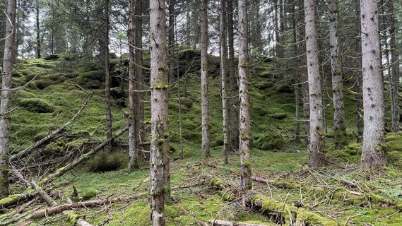 Fotó a Daniel Härtel honlapról a túra során
