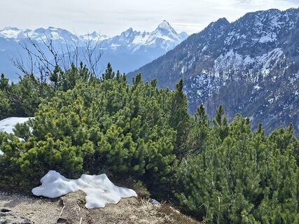 Foto von Filou und Luna entlang der Tour