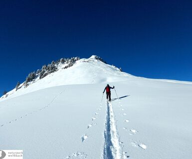 Schneeschuhwanderung auf den Kuhkranz