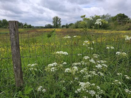Photo de Peter spierenburg le long du parcours