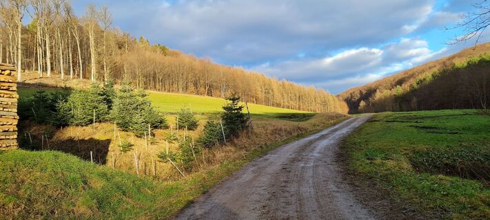 Fotografia z Tanjasusanna na trase