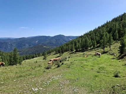 Foto von Stefan Schuhmann entlang der Tour