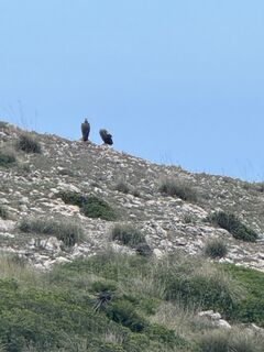 Foto de Jörg Bürkin a lo largo del recorrido