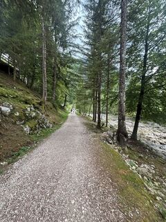 Foto von Zoltán Zalánfi entlang der Tour