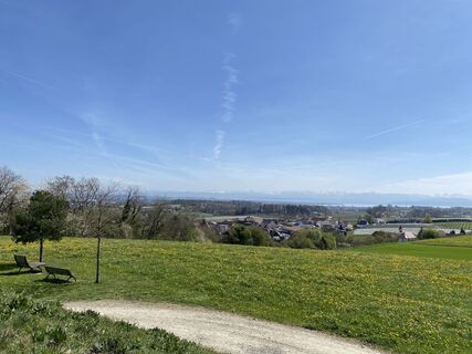 Foto da Lars Klein lungo il tour