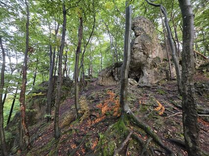 Fotografija s spletne strani Alexander Becker na poti