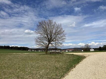 Foto von Martin Würsch entlang der Tour