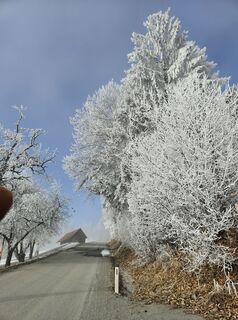 Foto von Franz Russ entlang der Tour