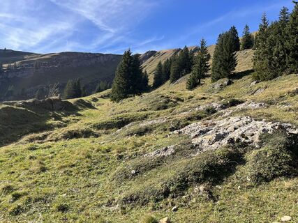 Fotografia z Daniel Herz na trase