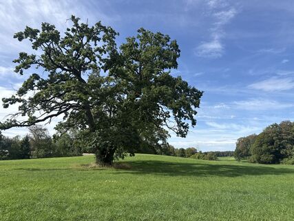 Foto von vartep entlang der Tour