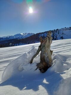 Zdjęcie z Marlyse Leu wzdłuż trasy