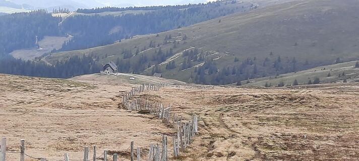 Foto von Brigitte Hainzmann entlang der Tour