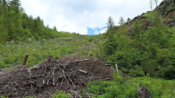 Fotografija s spletne strani Siegfried Kropfgans na poti