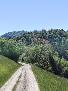 Foto von Sommer Joe entlang der Tour