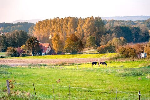 Malerische Landschaft bei Borgholzhausen