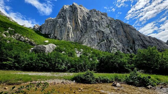 Fotografija s spletne strani Danijel Sorola na poti