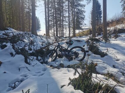 Foto von Bernd Pfanner entlang der Tour