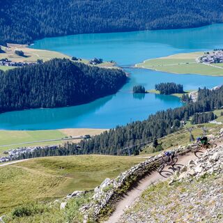 WM Flow Trail mit Blick auf den Champfèrer- und Silvaplanersee