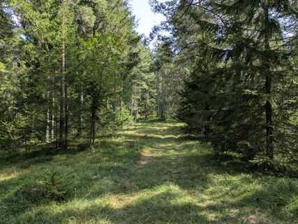 Fotografie de la Edero de-a lungul turului