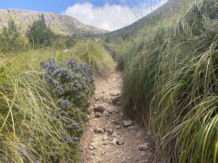 Foto från Rainer Pieper under resans gång