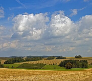 Bergbaulandschaft Marienberg-Lauta