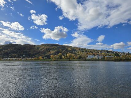 Foto van enipeus 65 langs de tour